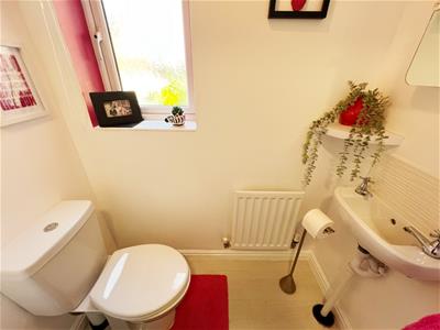 Picture 7